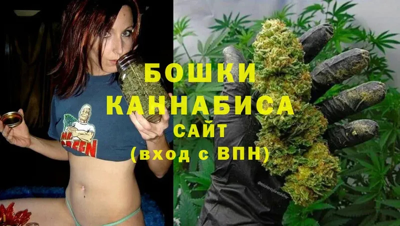 Марихуана OG Kush  ссылка на мегу tor  Правдинск 